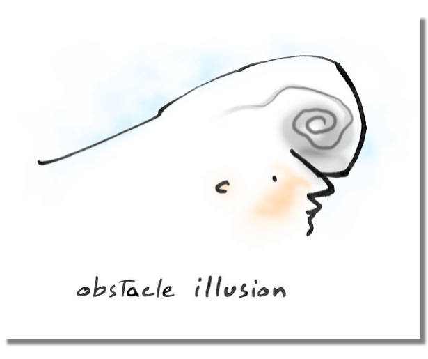 Obstacle Illusion