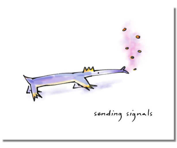 Sending Signals